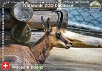wzd_01732