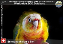 wzd_01739