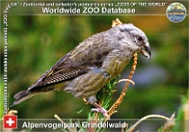 wzd_01742