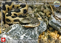 wzd_01743