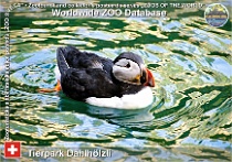 wzd_01744