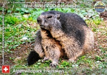 wzd_01753