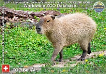 wzd_01755