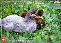 wzd_01758