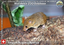 wzd_01759
