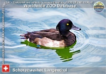 wzd_01763