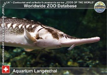 wzd_01764