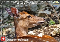 wzd_01766
