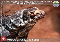 wzd_01768