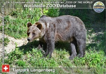 wzd_01774