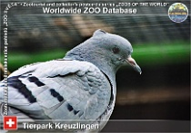 wzd_01775