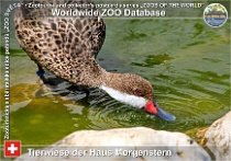 wzd_01777