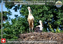 wzd_01779