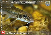 wzd_01780