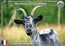 wzd_01786
