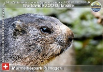 wzd_01803