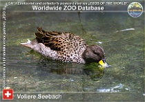 wzd_01804