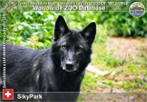 wzd_01805