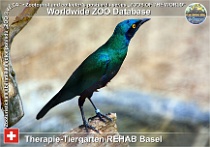 wzd_01808
