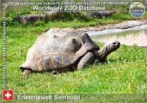 wzd_01811