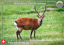 wzd_01815