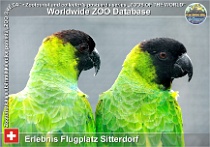 wzd_01816