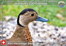wzd_01817