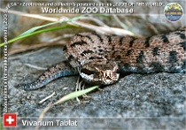 wzd_01818