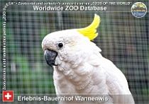 wzd_01827