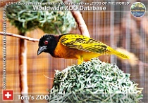 wzd_01833