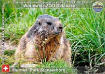 wzd_01834