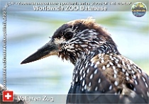 wzd_01835