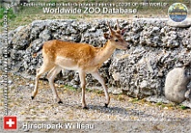 wzd_01837
