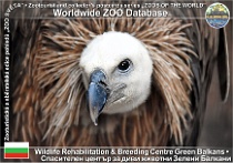 wzd_01842