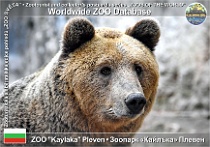 wzd_01843