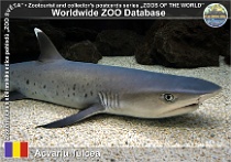 wzd_01845