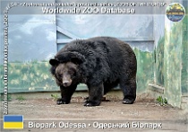 wzd_01848