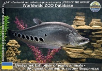 wzd_01850