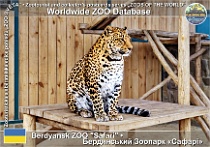 wzd_01851