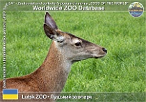 wzd_01853