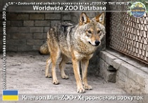 wzd_01855