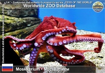 wzd_01856
