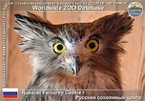 wzd_01857