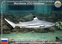 wzd_01859