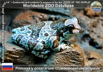 wzd_01861