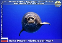 wzd_01863