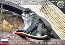 wzd_01864
