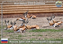 wzd_01868