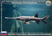 wzd_01869
