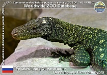 wzd_01873